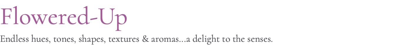 Flowered-Up Endless hues, tones, shapes, textures & aromas...a delight to the senses. 