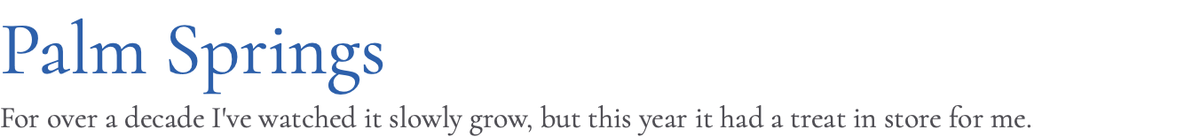 Palm Springs For over a decade I've watched it slowly grow, but this year it had a treat in store for me.