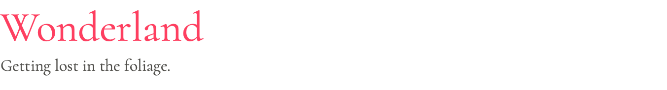 Wonderland Getting lost in the foliage.