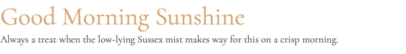 Good Morning Sunshine Always a treat when the low-lying Sussex mist makes way for this on a crisp morning.