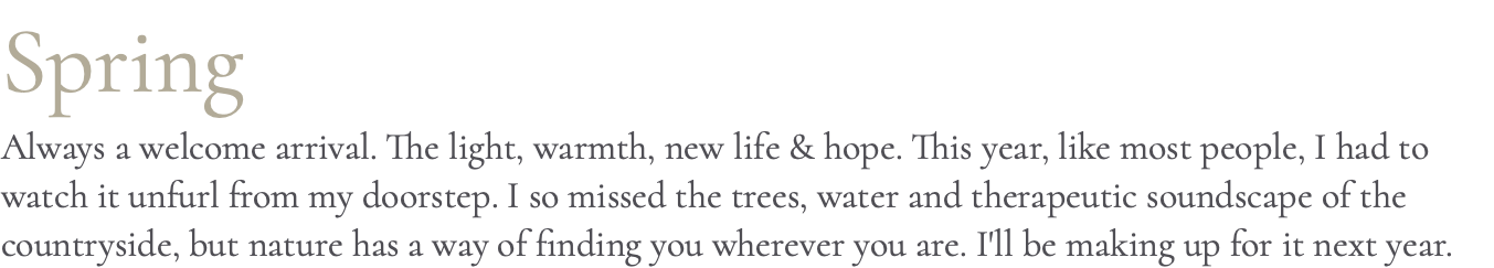 Spring Always a welcome arrival. The light, warmth, new life & hope. This year, like most people, I had to watch it unfurl from my doorstep. I so missed the trees, water and therapeutic soundscape of the countryside, but nature has a way of finding you wherever you are. I'll be making up for it next year.