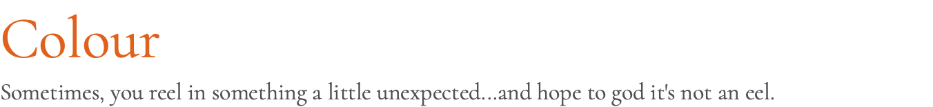 Colour Sometimes, you reel in something a little unexpected...and hope to god it's not an eel.