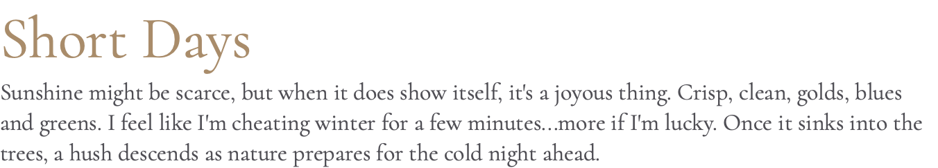 Short Days Sunshine might be scarce, but when it does show itself, it's a joyous thing. Crisp, clean, golds, blues and greens. I feel like I'm cheating winter for a few minutes...more if I'm lucky. Once it sinks into the trees, a hush descends as nature prepares for the cold night ahead.