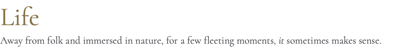 Life Away from folk and immersed in nature, for a few fleeting moments, it sometimes makes sense.