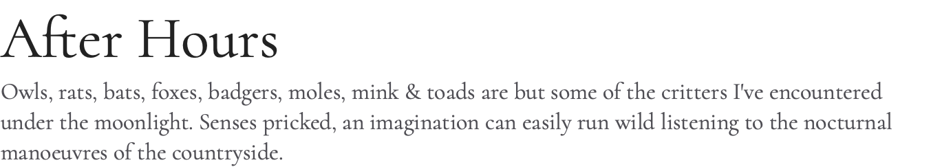 After Hours Owls, rats, bats, foxes, badgers, moles, mink & toads are but some of the critters I've encountered under the moonlight. Senses pricked, an imagination can easily run wild listening to the nocturnal manoeuvres of the countryside. 
