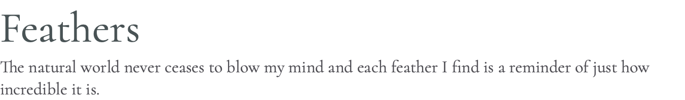 Feathers The natural world never ceases to blow my mind and each feather I find is a reminder of just how incredible it is.