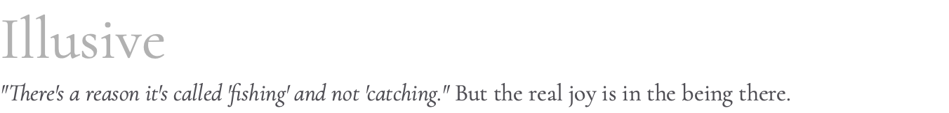 Illusive "There's a reason it's called 'fishing' and not 'catching." But the real joy is in the being there.